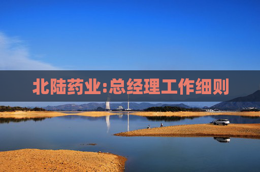 北陆药业:总经理工作细则