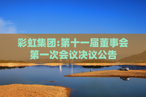 彩虹集团:第十一届董事会第一次会议决议公告