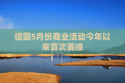 德国5月份商业活动今年以来首次萎缩