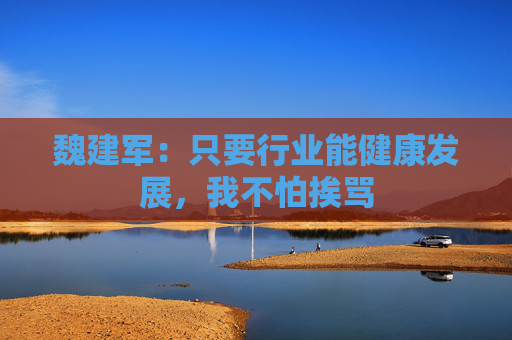 魏建军：只要行业能健康发展，我不怕挨骂