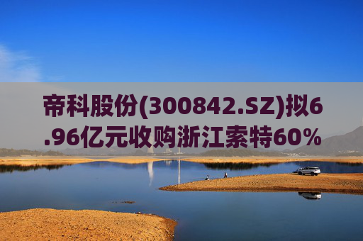 帝科股份(300842.SZ)拟6.96亿元收购浙江索特60%股权 将控制Solamet?光伏银浆业务