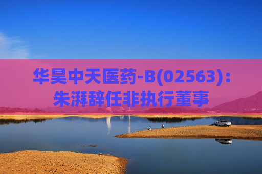 华昊中天医药-B(02563)：朱湃辞任非执行董事