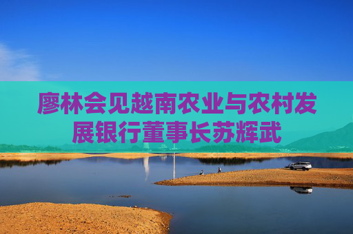 廖林会见越南农业与农村发展银行董事长苏辉武