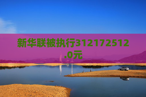 新华联被执行312172512.0元