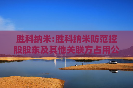 胜科纳米:胜科纳米防范控股股东及其他关联方占用公司资金管理制度