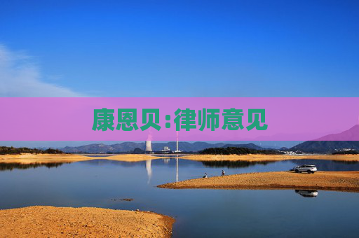 康恩贝:律师意见