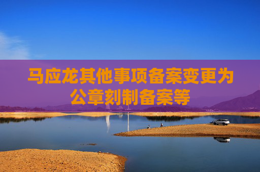 马应龙其他事项备案变更为公章刻制备案等