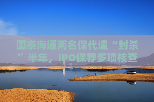 国泰海通两名保代遭“封杀”半年，IPO保荐多项核查意见不准确