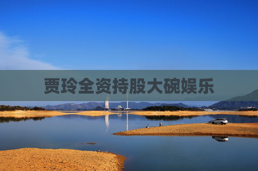 贾玲全资持股大碗娱乐  第1张