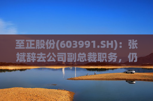 至正股份(603991.SH)：张斌辞去公司副总裁职务，仍在公司担任其他职务