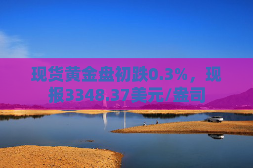 现货黄金盘初跌0.3%，现报3348.37美元/盎司