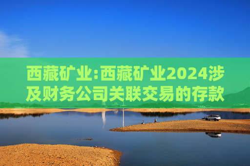 西藏矿业:西藏矿业2024涉及财务公司关联交易的存款贷款专项报告-天健审〔2025〕6-204号