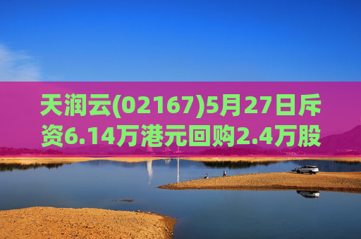 天润云(02167)5月27日斥资6.14万港元回购2.4万股