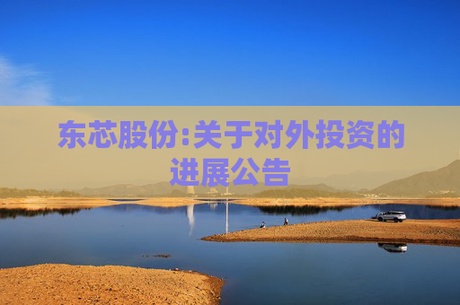 东芯股份:关于对外投资的进展公告