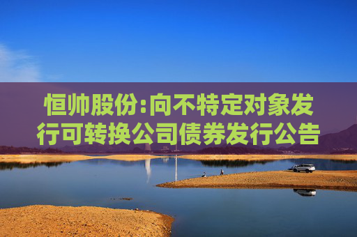 恒帅股份:向不特定对象发行可转换公司债券发行公告  第1张