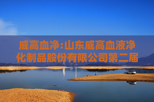 威高血净:山东威高血液净化制品股份有限公司第二届董事会第十一次会议决议公告