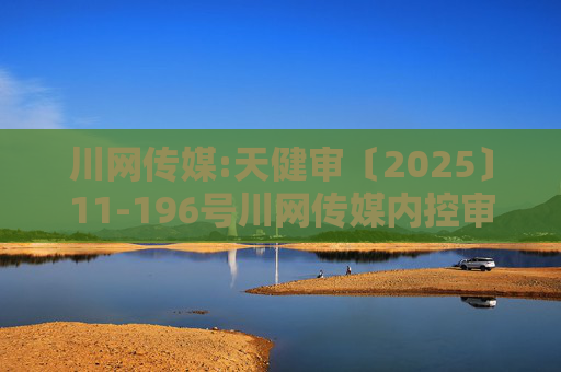 川网传媒:天健审〔2025〕11-196号川网传媒内控审计报告  第1张