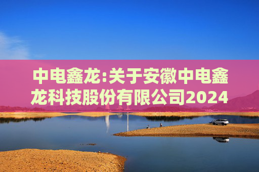 中电鑫龙:关于安徽中电鑫龙科技股份有限公司2024年度股东会的法律意见