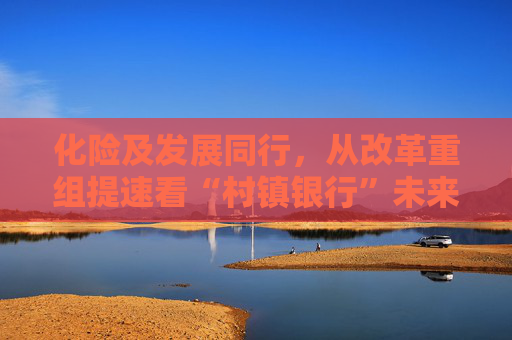 化险及发展同行，从改革重组提速看“村镇银行”未来出路