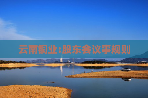 云南铜业:股东会议事规则