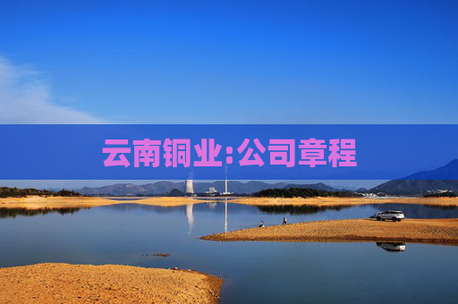 云南铜业:公司章程