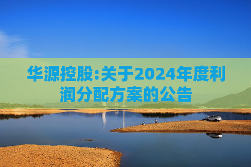 华源控股:关于2024年度利润分配方案的公告