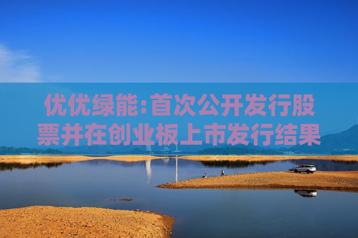 优优绿能:首次公开发行股票并在创业板上市发行结果公告