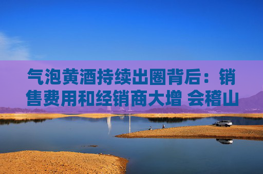 气泡黄酒持续出圈背后：销售费用和经销商大增 会稽山迎来拐点了吗？  第1张