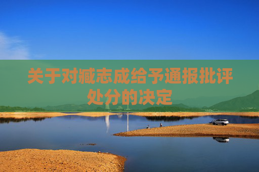关于对臧志成给予通报批评处分的决定