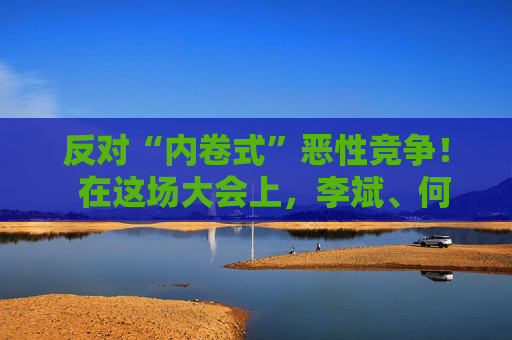 反对“内卷式”恶性竞争！  在这场大会上，李斌、何小鹏、閤先庆等表态“价格战”