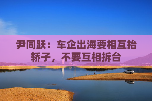 尹同跃：车企出海要相互抬轿子，不要互相拆台