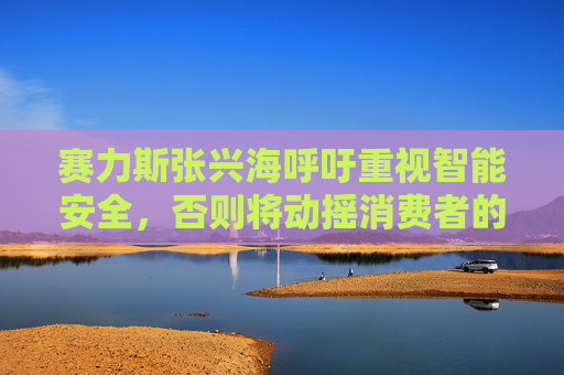 赛力斯张兴海呼吁重视智能安全，否则将动摇消费者的信心