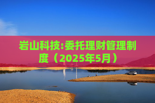 岩山科技:委托理财管理制度（2025年5月）