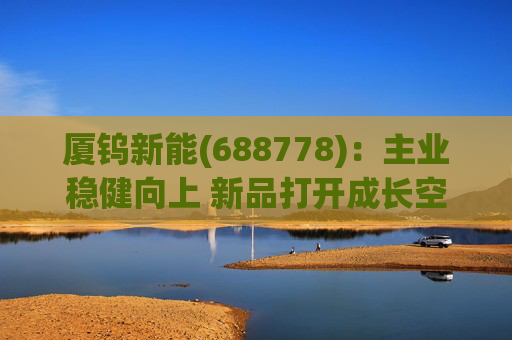厦钨新能(688778)：主业稳健向上 新品打开成长空间