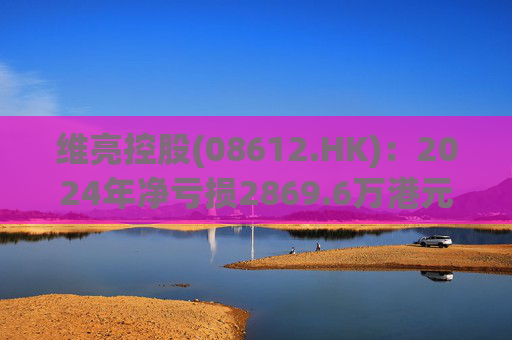 维亮控股(08612.HK)：2024年净亏损2869.6万港元
