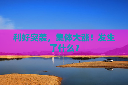 利好突袭，集体大涨！发生了什么？