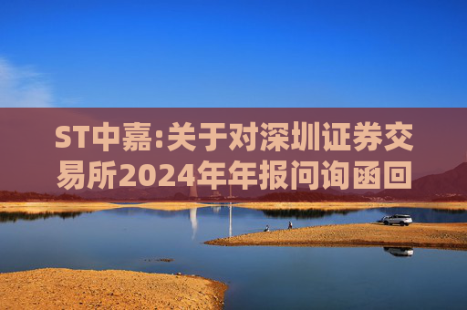 ST中嘉:关于对深圳证券交易所2024年年报问询函回复的公告