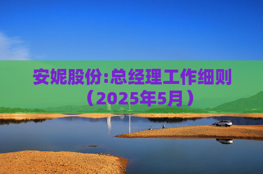 安妮股份:总经理工作细则（2025年5月）