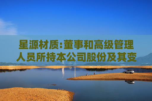 星源材质:董事和高级管理人员所持本公司股份及其变动管理办法（2025年6月）
