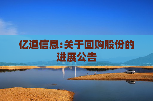 亿道信息:关于回购股份的进展公告