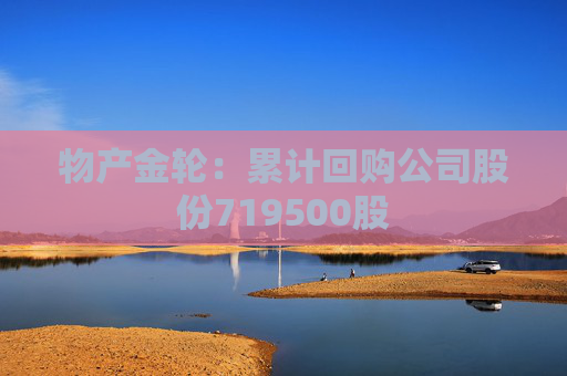 物产金轮：累计回购公司股份719500股