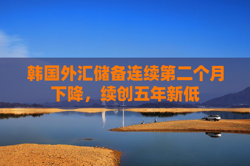 韩国外汇储备连续第二个月下降，续创五年新低