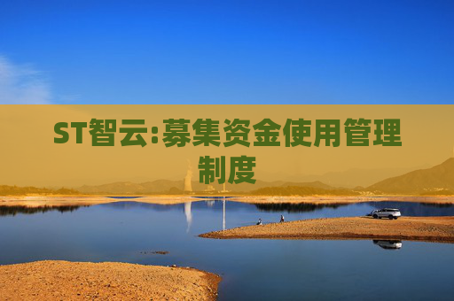 ST智云:募集资金使用管理制度