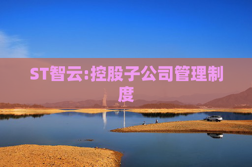 ST智云:控股子公司管理制度