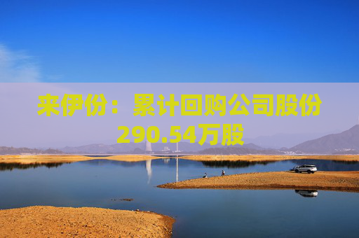 来伊份：累计回购公司股份290.54万股