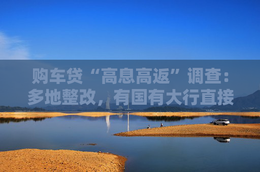 购车贷“高息高返”调查：多地整改，有国有大行直接叫停