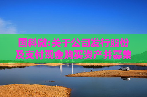 国科微:关于公司发行股份及支付现金购买资产并募集配套资金暨关联交易符合《创业板上市公司持续监管办法（试行）》第十八条、第二十一条以及《深圳证券交易所上市公司重大资产重组审核规则》第八条规定的说明