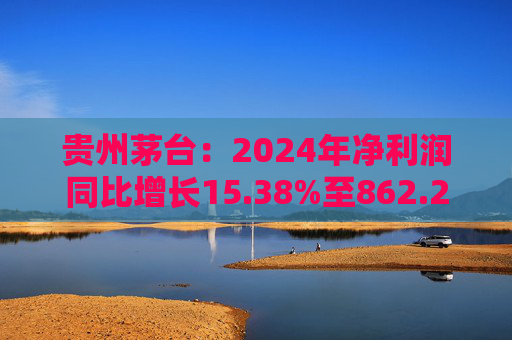 贵州茅台：2024年净利润同比增长15.38%至862.28亿元
