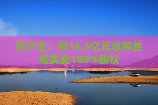 孩子王：拟16.5亿元收购丝域实业100%股权