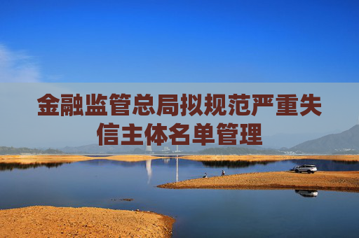 金融监管总局拟规范严重失信主体名单管理